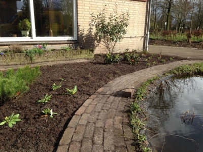 Natuurlijke vogelvriendelijke tuin in Waalwijk