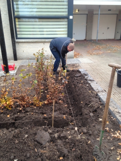 Eigentijdse moderne voortuin in Kaatsheuvel.