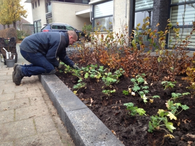 Eigentijdse moderne voortuin in Kaatsheuvel.