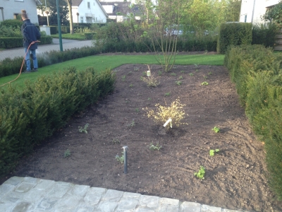 Aanleg tuin met krachtige lijnen Kaatsheuvel