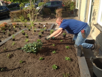 Voortuin met een heldere vakverdeling.