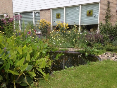 Natuurlijke vogelvriendelijke tuin in Waalwijk