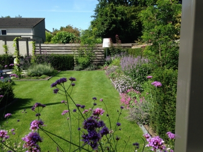 Aanleg tuin met krachtige lijnen Kaatsheuvel